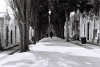 Cimitero degli Inglesi